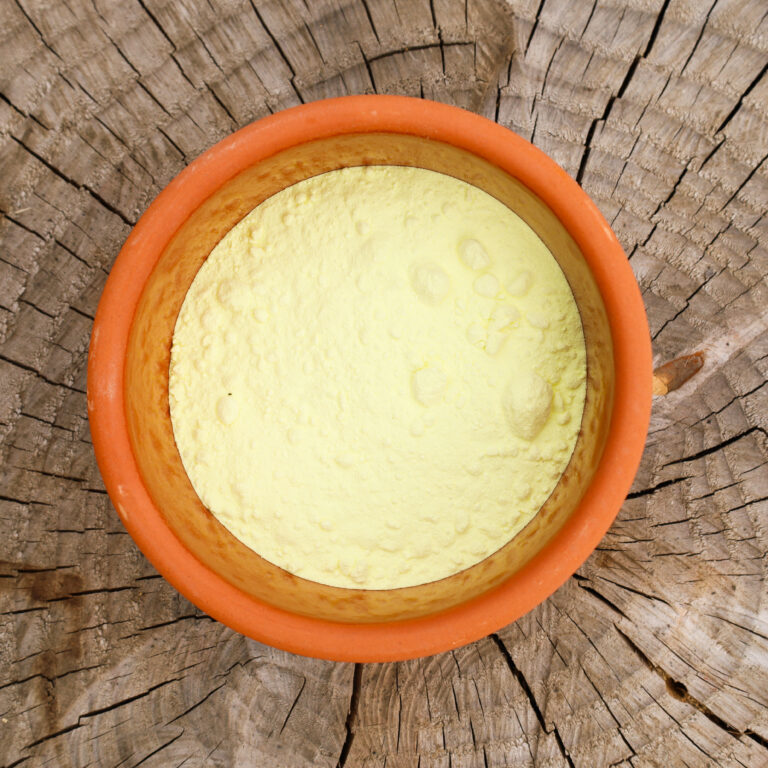 Ganzheitliche Unterstützung für Pferdedarm und Fütterung – Pferdedarmbalance