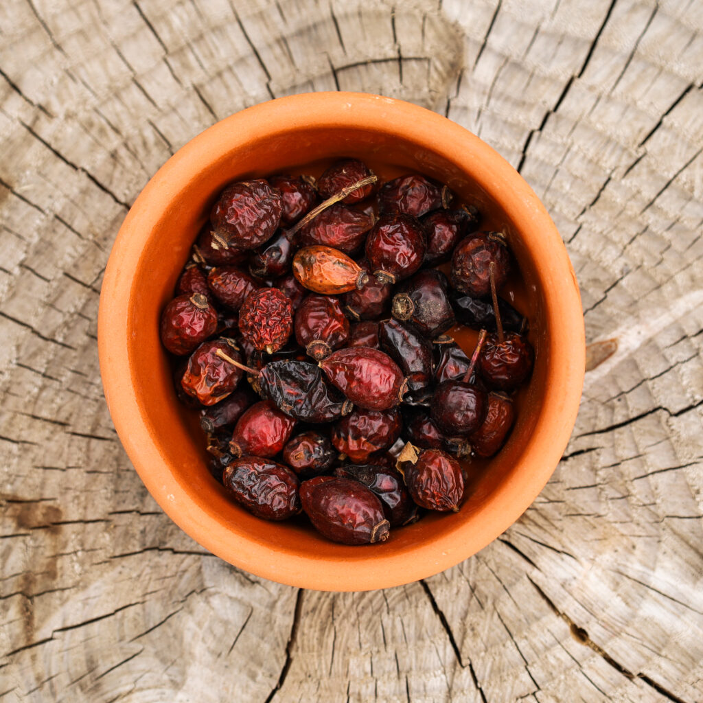 Pferdedarmbalance – Einblick in Arbeit mit Pferd, Fokus Darmbalance und Wohlbefinden