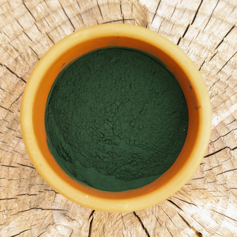 Porträt für Pferdedarmbalance – Beratung rund um Darmgesundheit und Fütterung