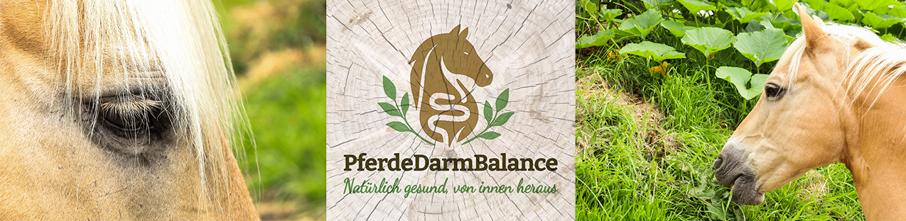 pferdedarmbalance-darmgesundheit-fuetterungsberatung